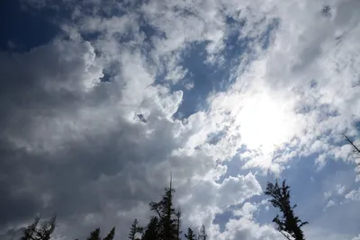 DSC_2954 (Large).JPG